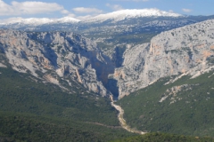 gorroppu