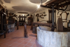 museo_abba_frisca