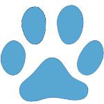 animals-cat-track-icon-150x150